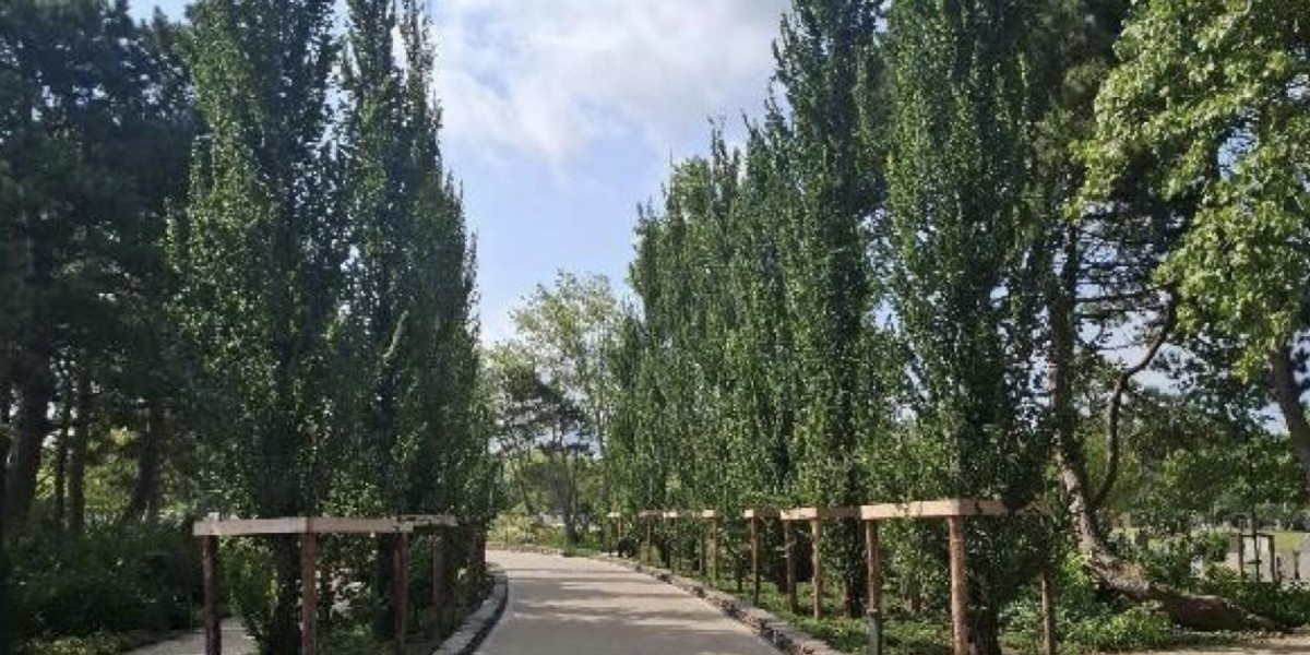 Renovatie begraafplaats Duinrust