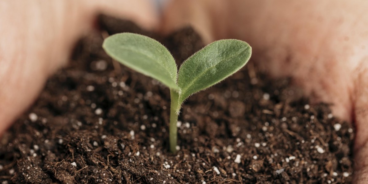 Voorbereiden op je belijdenis?