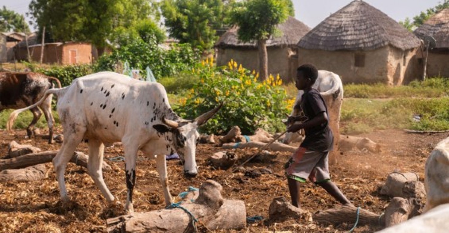 Collecte  09-08-2026 Kerk in Actie Ghana - jongeren werken aan hun toekomst 